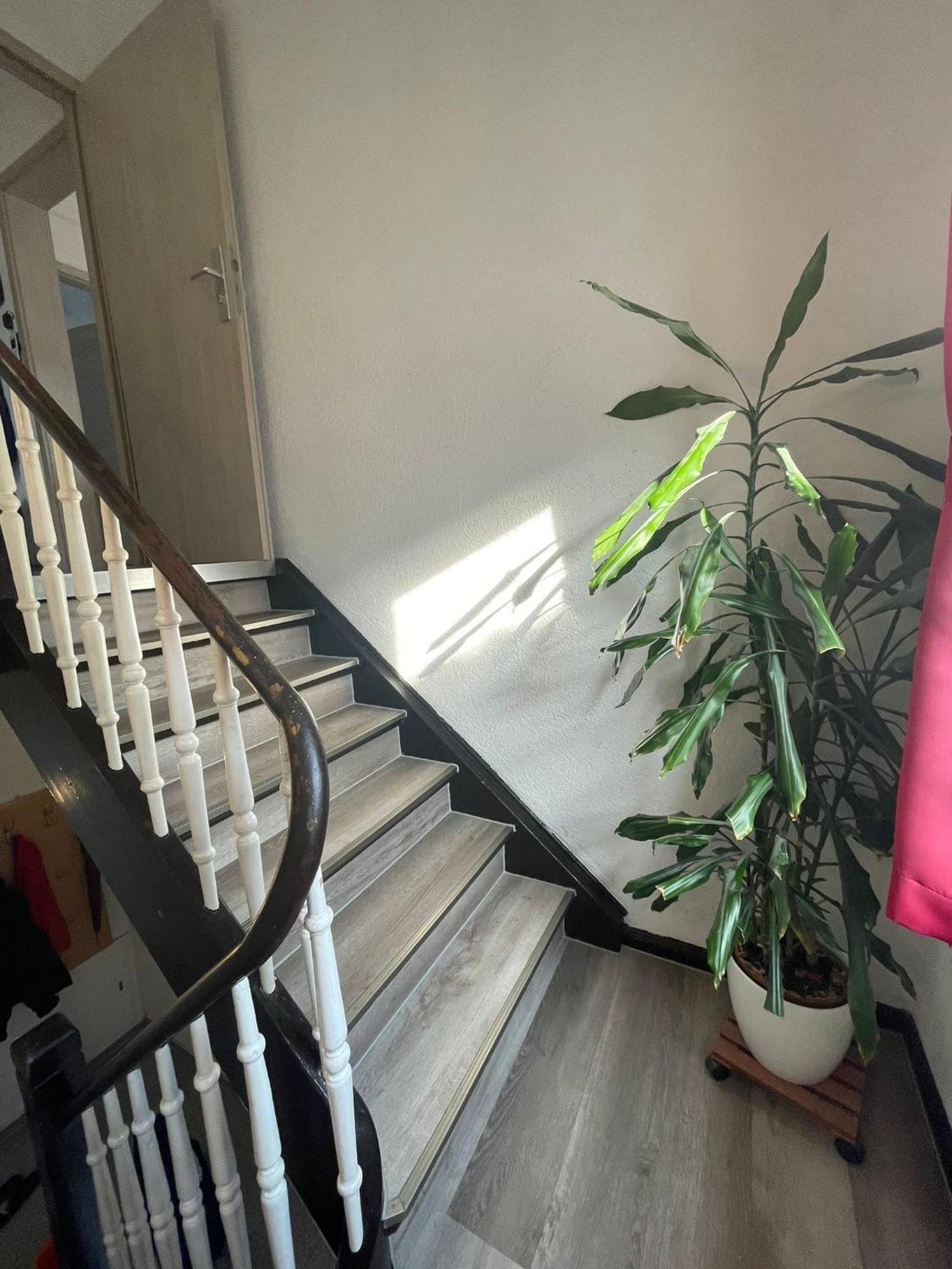 Leo Apartment Zentrum Rüsselsheim Dış mekan fotoğraf